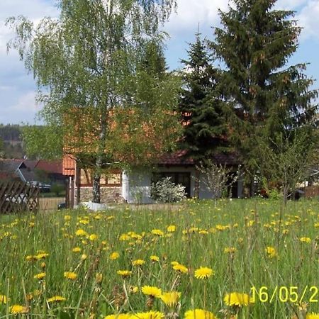 Ferienhaus Harz Villa Allrode Dış mekan fotoğraf