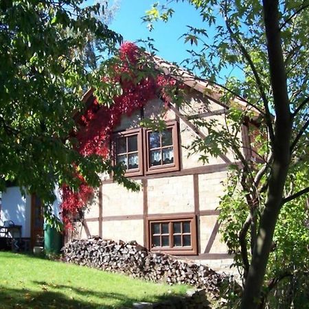 Ferienhaus Harz Villa Allrode Dış mekan fotoğraf