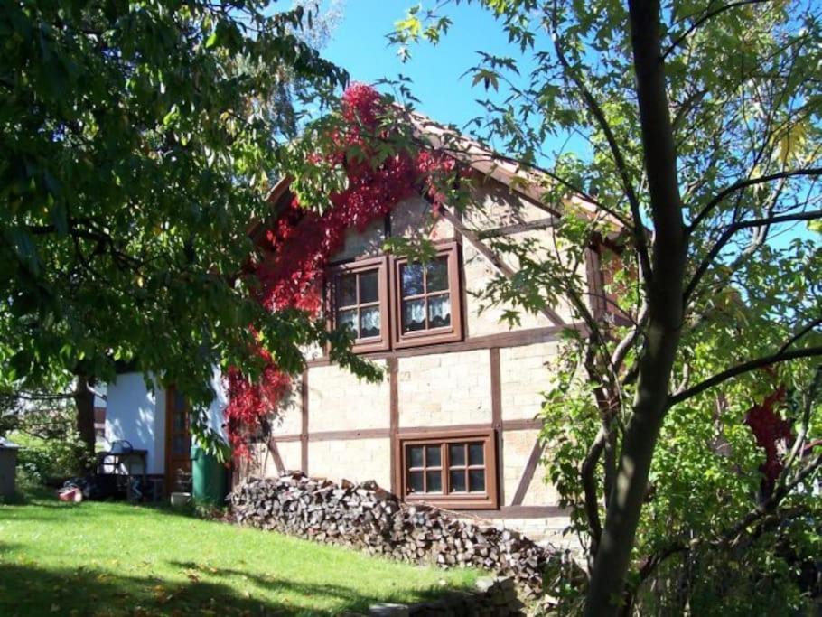 Ferienhaus Harz Villa Allrode Dış mekan fotoğraf