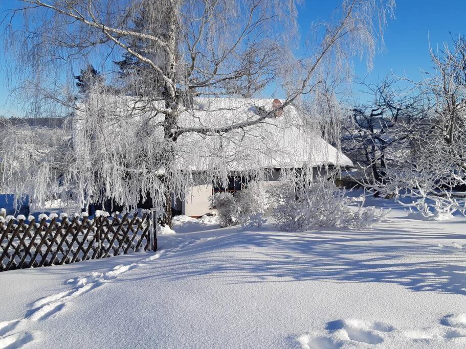 Ferienhaus Harz Villa Allrode Dış mekan fotoğraf