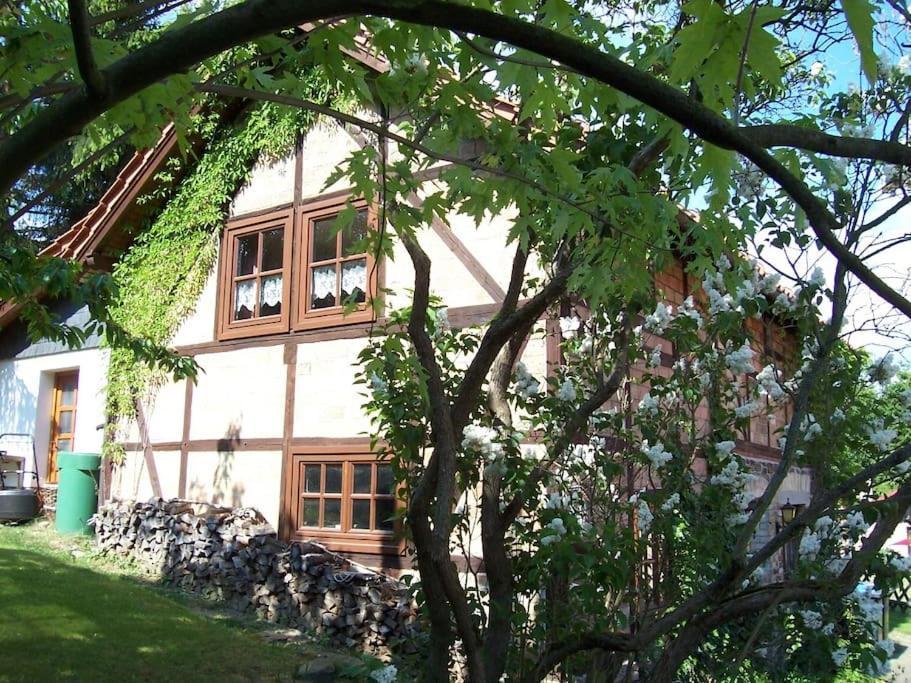 Ferienhaus Harz Villa Allrode Dış mekan fotoğraf